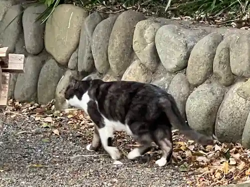 愛宕神社(埼玉県)