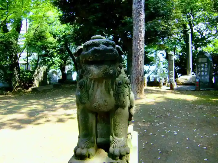品川神社の狛犬