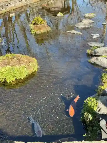 阿蘇神社の{uncategorized: "未分類", other: "その他", undefined: "問題あり", building: "その他建物", grave: "お墓", sacred_gate: "鳥居", guardian: "狛犬", statue: "像", buddha: "仏像", history: "歴史", nature: "自然", garden: "庭園", animal: "動物", pagoda: "塔", temizu: "手水舎", mountain_gate: "山門・神門", sanctuary: "本殿・本堂", subordinate: "末社・摂社", art: "芸術", scenery: "景色", jizo: "地蔵", ema: "絵馬", goshuin: "御朱印", omikuji: "おみくじ", items: "授与品その他", amulet: "お守り", goshuincho: "御朱印帳", eats: "食事", festival: "お祭り", votive_dance: "神楽", shichigosan: "七五三参", wedding: "結婚式", experience: "体験その他", initially: "初詣", around: "周辺", anti_infection: "感染症対策"}