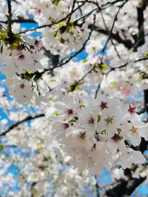 弘明寺の{uncategorized: "未分類", other: "その他", undefined: "問題あり", building: "その他建物", grave: "お墓", sacred_gate: "鳥居", guardian: "狛犬", statue: "像", buddha: "仏像", history: "歴史", nature: "自然", garden: "庭園", animal: "動物", pagoda: "塔", temizu: "手水舎", mountain_gate: "山門・神門", sanctuary: "本殿・本堂", subordinate: "末社・摂社", art: "芸術", scenery: "景色", jizo: "地蔵", ema: "絵馬", goshuin: "御朱印", omikuji: "おみくじ", items: "授与品その他", amulet: "お守り", goshuincho: "御朱印帳", eats: "食事", festival: "お祭り", votive_dance: "神楽", shichigosan: "七五三参", wedding: "結婚式", experience: "体験その他", initially: "初詣", around: "周辺", anti_infection: "感染症対策"}