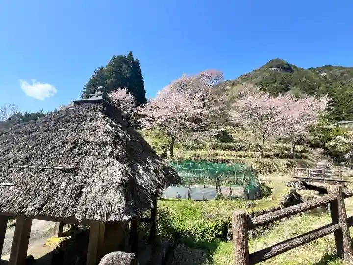 仏隆寺の{uncategorized: "未分類", other: "その他", undefined: "問題あり", building: "その他建物", grave: "お墓", sacred_gate: "鳥居", guardian: "狛犬", statue: "像", buddha: "仏像", history: "歴史", nature: "自然", garden: "庭園", animal: "動物", pagoda: "塔", temizu: "手水舎", mountain_gate: "山門・神門", sanctuary: "本殿・本堂", subordinate: "末社・摂社", art: "芸術", scenery: "景色", jizo: "地蔵", ema: "絵馬", goshuin: "御朱印", omikuji: "おみくじ", items: "授与品その他", amulet: "お守り", goshuincho: "御朱印帳", eats: "食事", festival: "お祭り", votive_dance: "神楽", shichigosan: "七五三参", wedding: "結婚式", experience: "体験その他", initially: "初詣", around: "周辺", anti_infection: "感染症対策"}