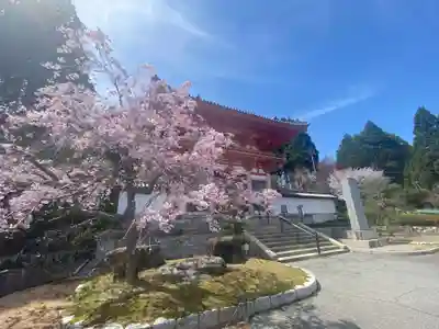 播州清水寺(兵庫県)