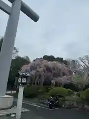 櫻木神社(千葉県)