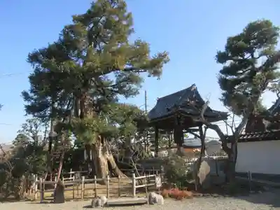 妙法寺(神奈川県)