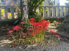 手力雄神社(岐阜県)