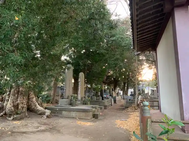 東光寺(千葉県)