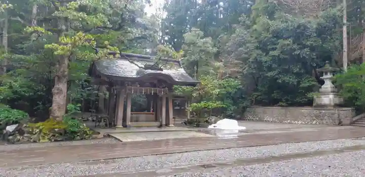 彌彦神社の手水舎