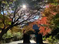 普門寺(切り絵御朱印発祥の寺)(愛知県)