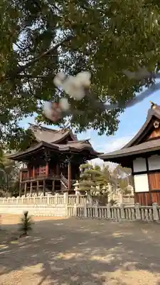 大浦神社(岡山県)
