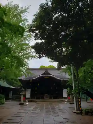 渋谷氷川神社の本殿・本堂