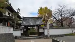 単伝庵(京都府)