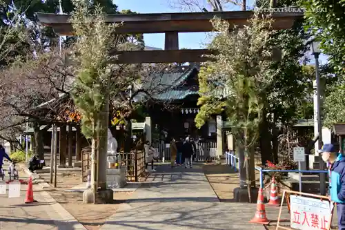 荏原神社の鳥居
