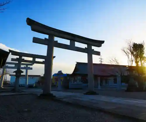 徳島県護國神社の鳥居