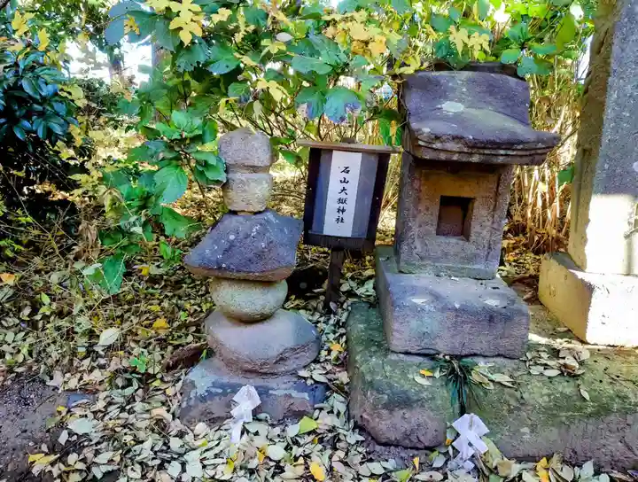 大国神社(群馬県)