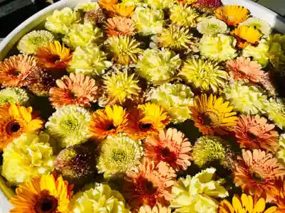 法輪寺(東京都)