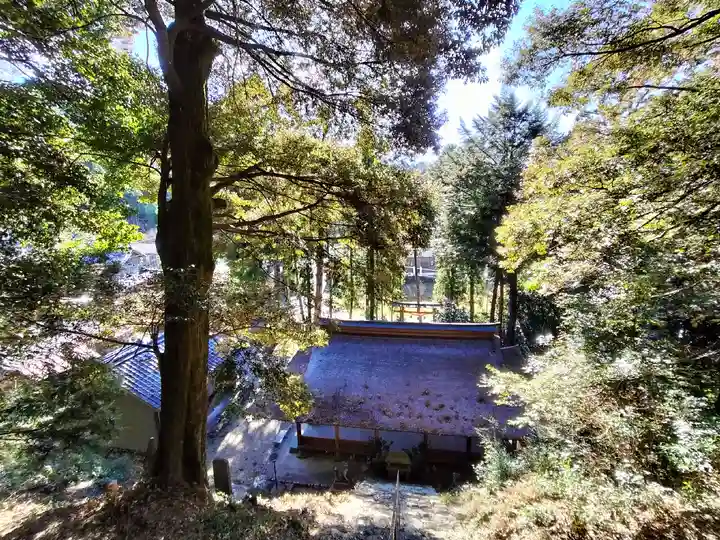 白山神社(岐阜県)