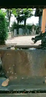 寒川神社の手水舎