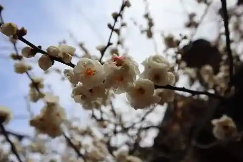 北野天満宮の{uncategorized: "未分類", other: "その他", undefined: "問題あり", building: "その他建物", grave: "お墓", sacred_gate: "鳥居", guardian: "狛犬", statue: "像", buddha: "仏像", history: "歴史", nature: "自然", garden: "庭園", animal: "動物", pagoda: "塔", temizu: "手水舎", mountain_gate: "山門・神門", sanctuary: "本殿・本堂", subordinate: "末社・摂社", art: "芸術", scenery: "景色", jizo: "地蔵", ema: "絵馬", goshuin: "御朱印", omikuji: "おみくじ", items: "授与品その他", amulet: "お守り", goshuincho: "御朱印帳", eats: "食事", festival: "お祭り", votive_dance: "神楽", shichigosan: "七五三参", wedding: "結婚式", experience: "体験その他", initially: "初詣", around: "周辺", anti_infection: "感染症対策"}