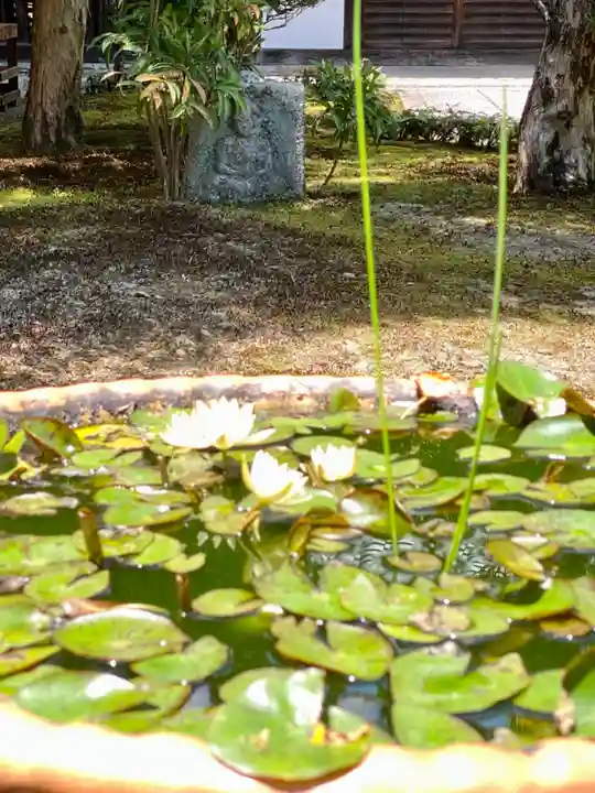 東林院(京都府)