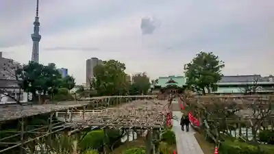 亀戸天神社(東京都)