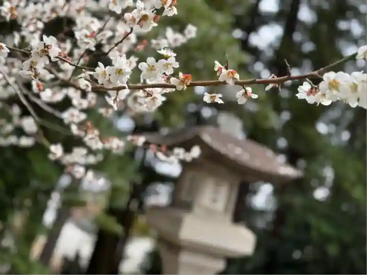 豊景神社(福島県)