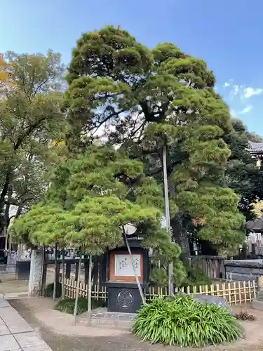 国土安穏寺の自然