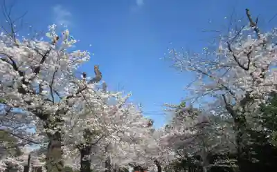 池上本門寺(東京都)