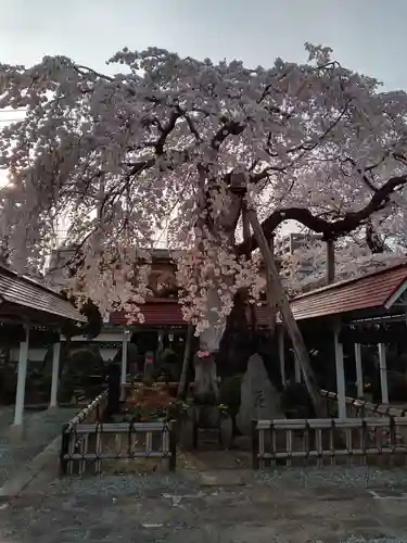 洞林寺(宮城県)