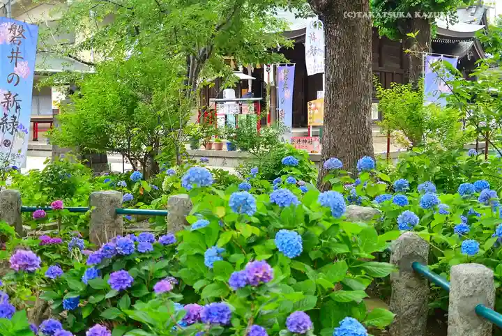 磐井神社(東京都)