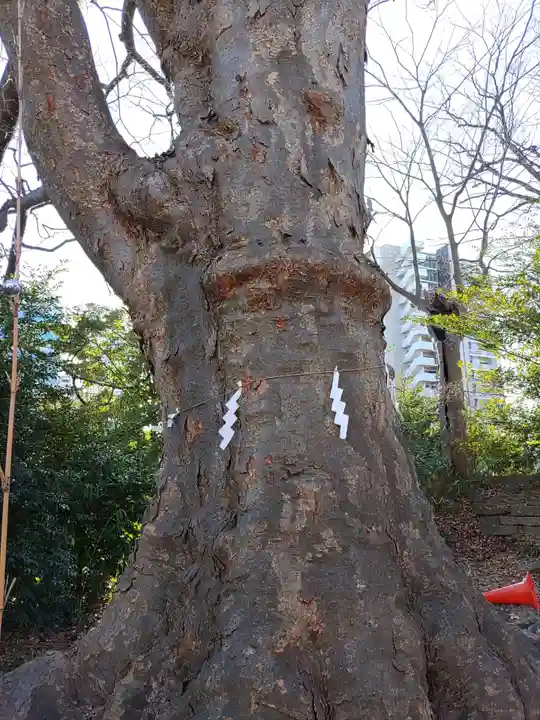 愛宕神社(福島県)