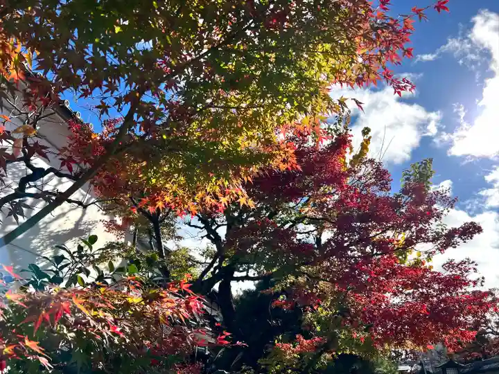 白蓮坊(長野県)