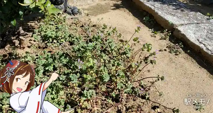 諏訪神社の自然