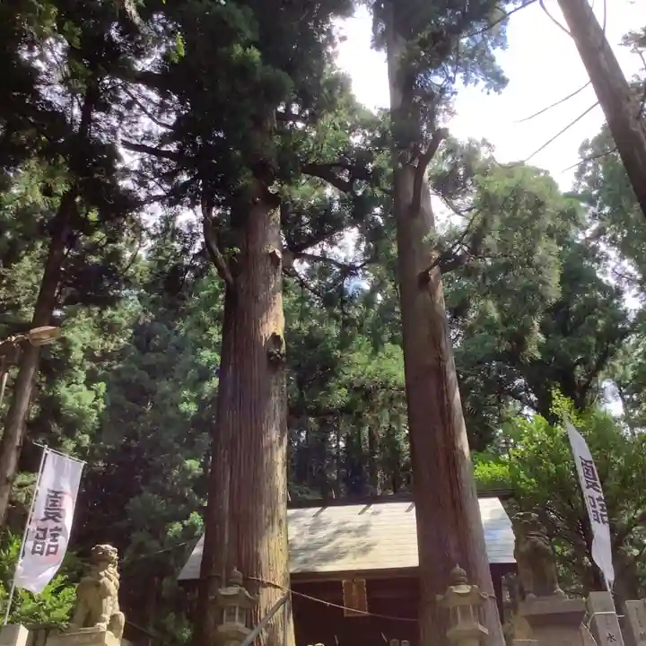 恵那神社(岐阜県)