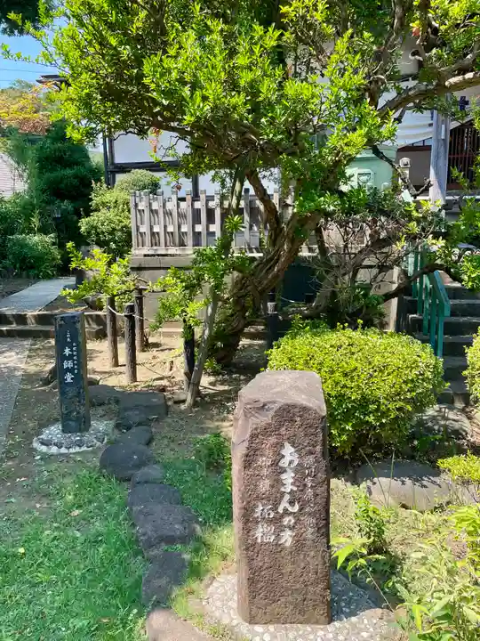 大蓮寺(神奈川県)