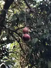 秋葉神社の建物その他