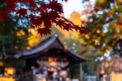 諏訪大社下社秋宮(長野県)