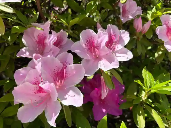 廣田神社(兵庫県)