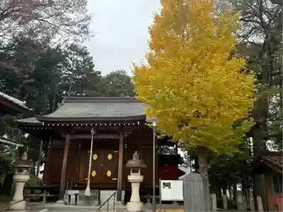 日枝神社(埼玉県)