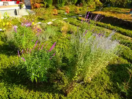 寿量山　速成寺(奈良県)
