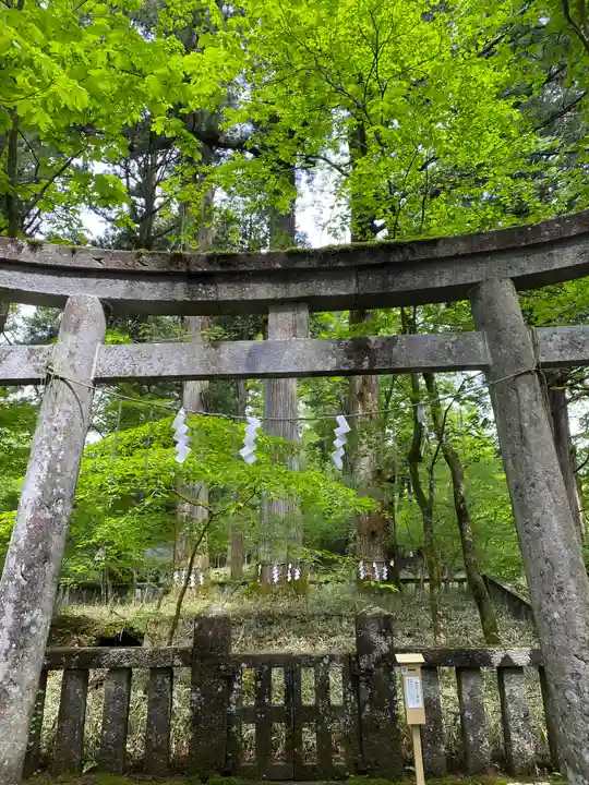 瀧尾神社(日光二荒山神社別宮)の鳥居