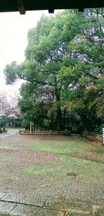 畑子安神社の自然