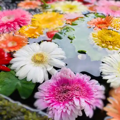 柳津虚空蔵尊 寳性院の手水舎