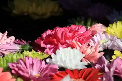 大鏑神社の手水舎