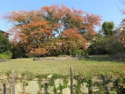 元興寺の建物その他