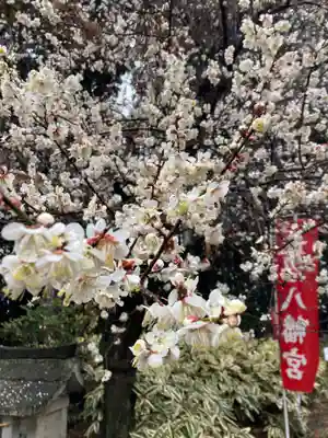 長沼八幡宮(栃木県)