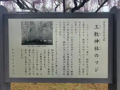 玉敷神社(埼玉県)