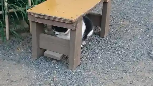 回向院のその他建物