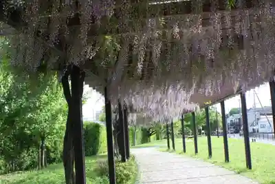 松尾神社(京都府)