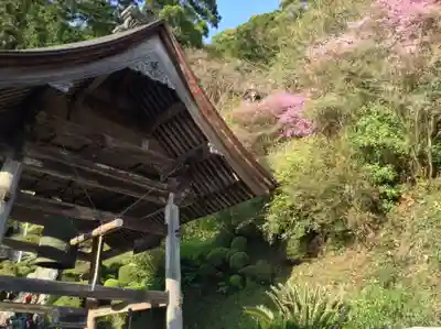 神峯寺(高知県)