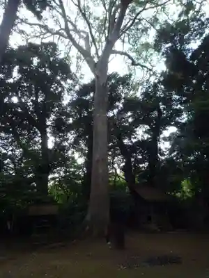 鳥見神社の自然